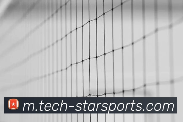 体育下注平台生态图